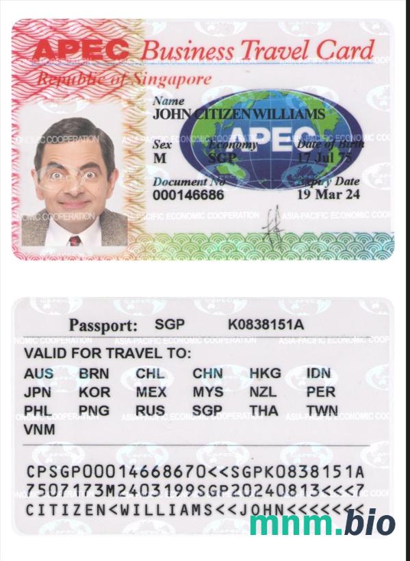 Singapore business travel card